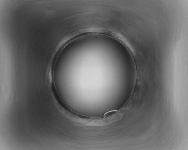 X0000116010011200911251130