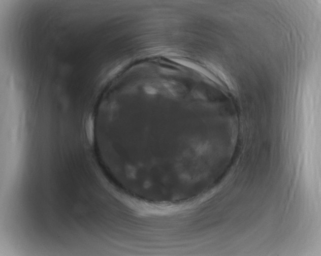 X0000116010014200911251130