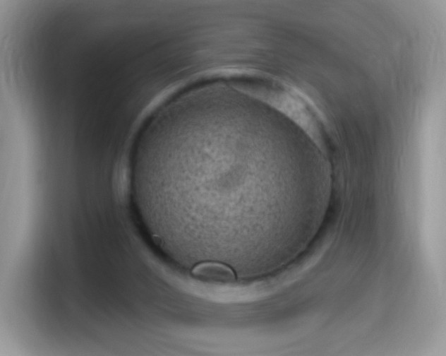 X0000116010016200911251130