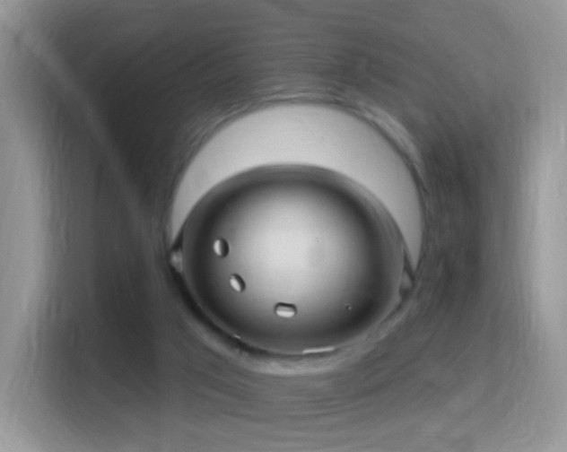 X0000116010017200911251129