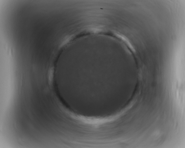 X0000116010018200911251129