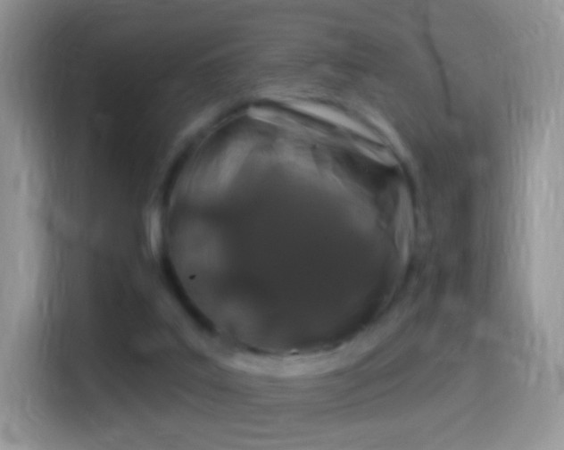 X0000116010019200911251129