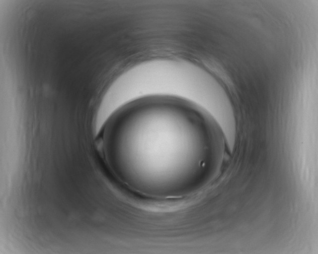 X0000116010021200911251129