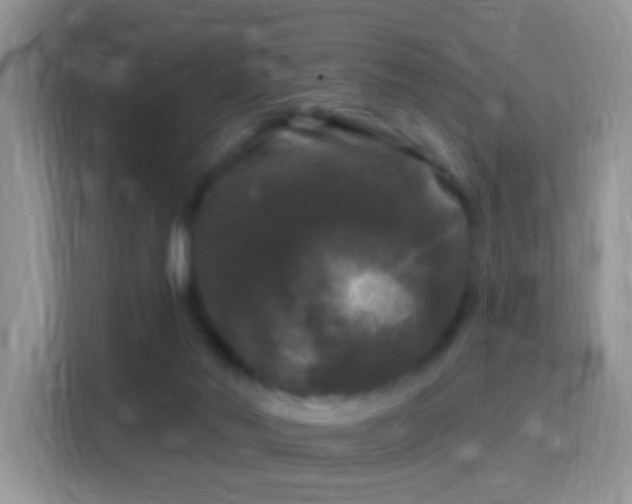 X0000116010022200911251129