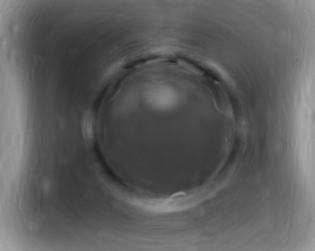 X0000116010023200911251129