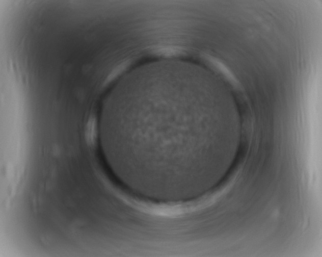 X0000116010024200911251129