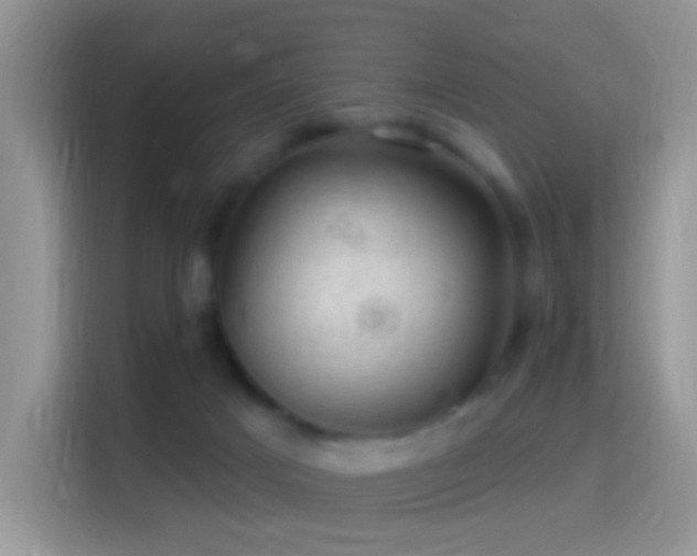 X0000116010025200911251129