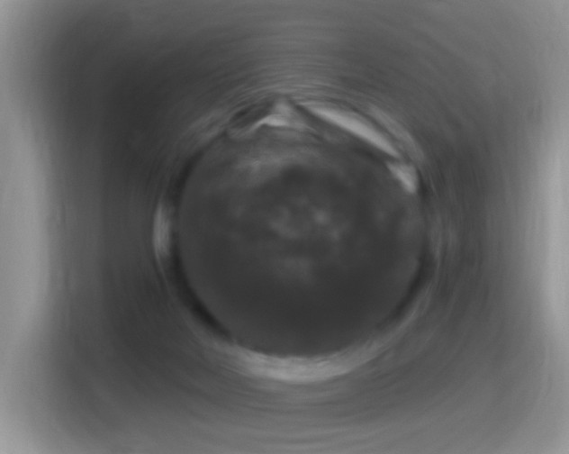 X0000116010026200911251129