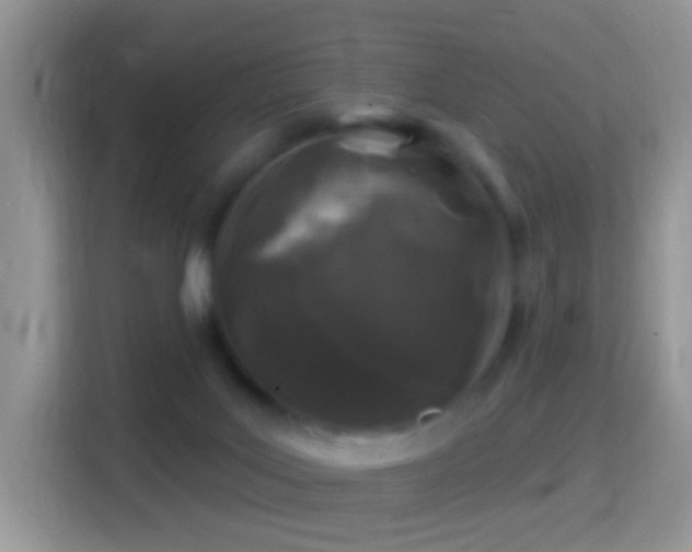 X0000116010027200911251129