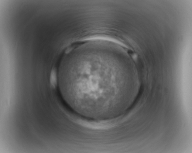 X0000116010028200911251129