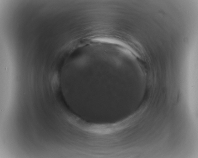 X0000116010029200911251129
