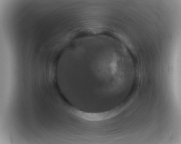 X0000116010030200911251129