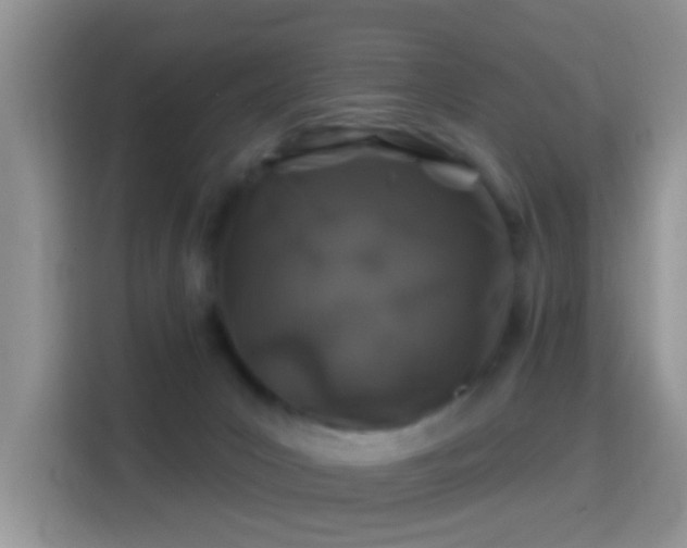 X0000116010031200911251129