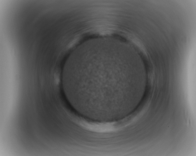 X0000116010032200911251129