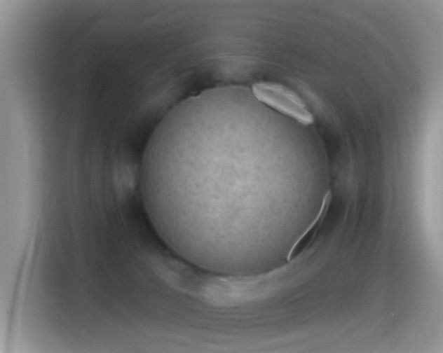 X0000116010033200911251129