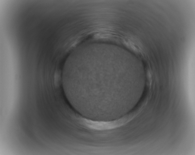 X0000116010034200911251129