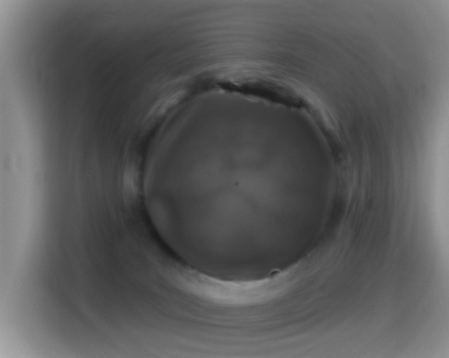 X0000116010035200911251129