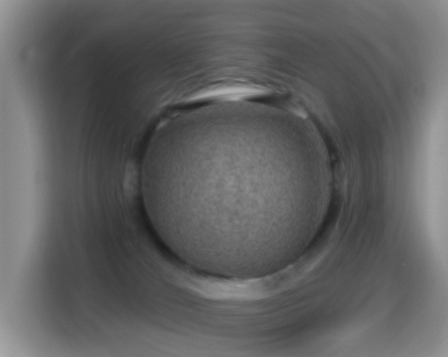 X0000116010036200911251129