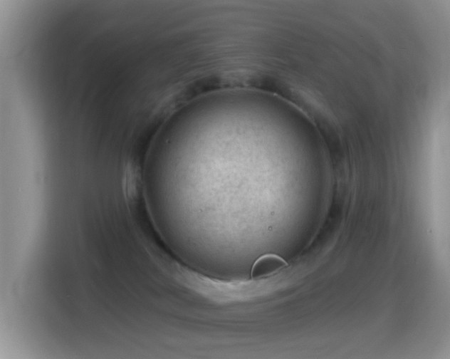 X0000116010038200911251129