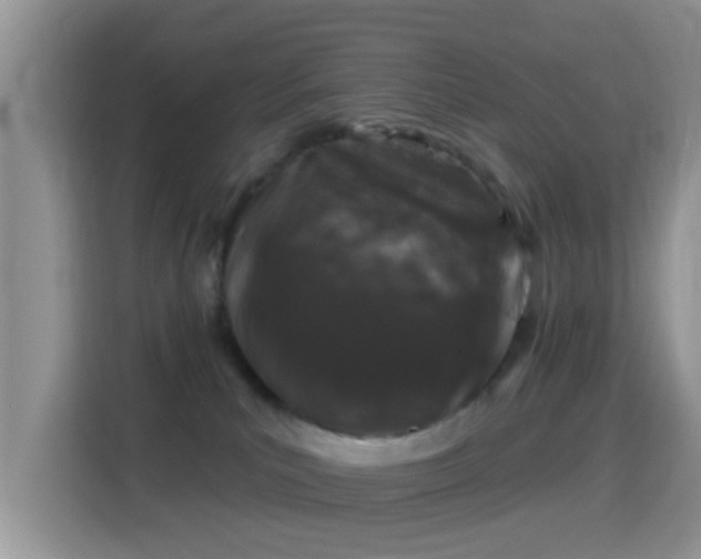 X0000116010039200911251129