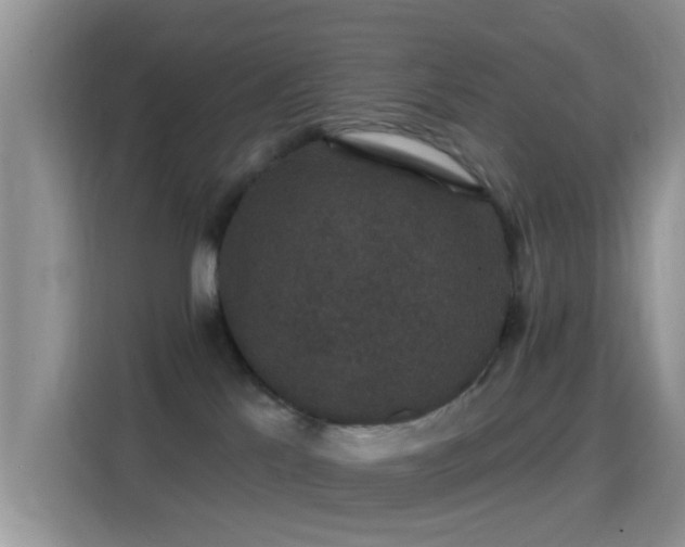 X0000116010041200911251129