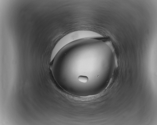 X0000116010043200911251129