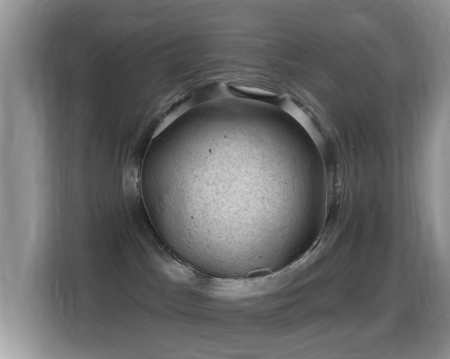 X0000116010045200911251129