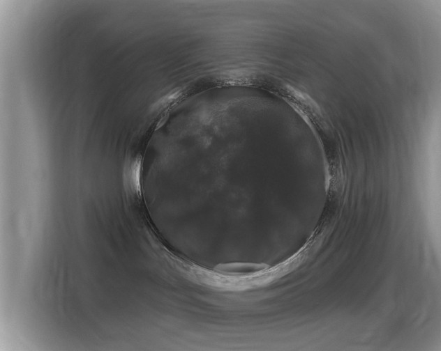 X0000116010047200911251129