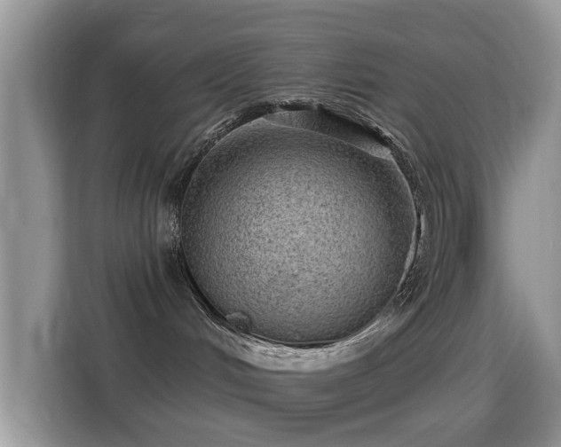 X0000116010048200911251129