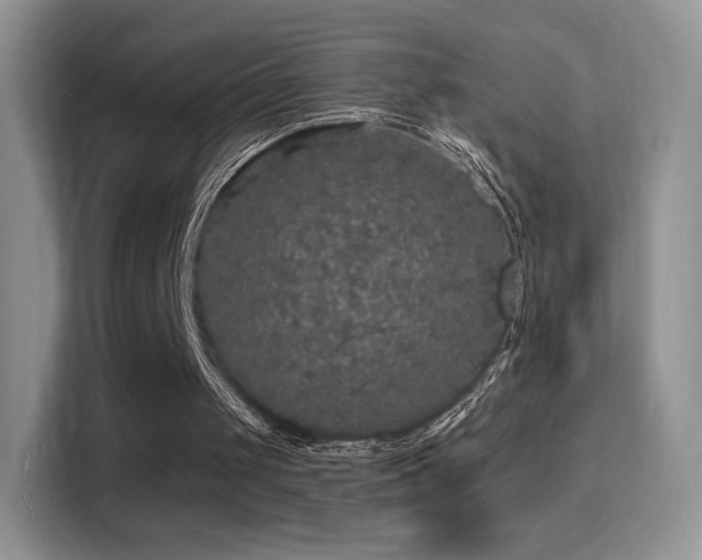 X0000116010049200911251128