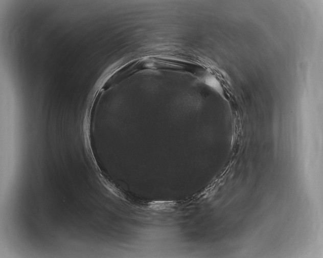 X0000116010051200911251128