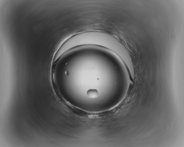 X0000116010052200911251129