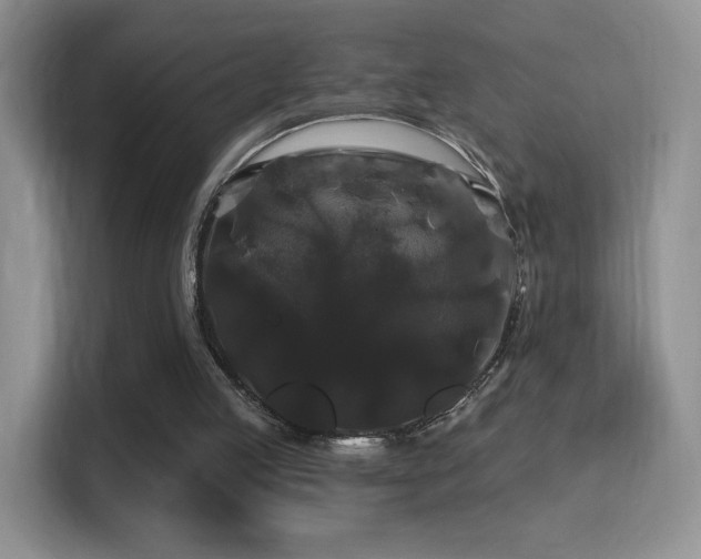 X0000116010053200911251129