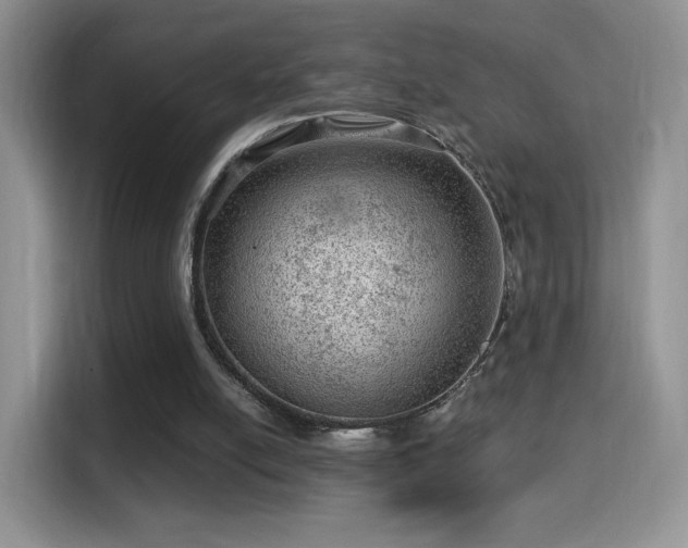 X0000116010054200911251129