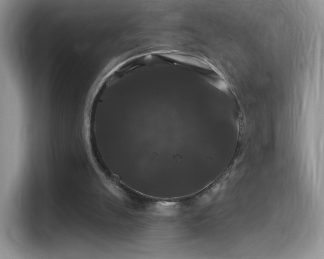 X0000116010055200911251129