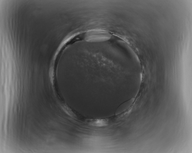 X0000116010056200911251129