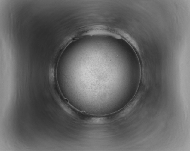 X0000116010057200911251129
