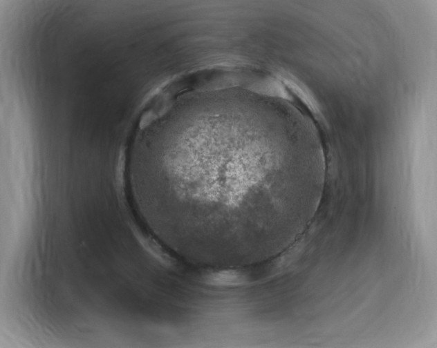 X0000116010058200911251129