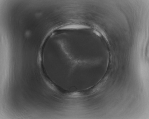 X0000116010059200911251129