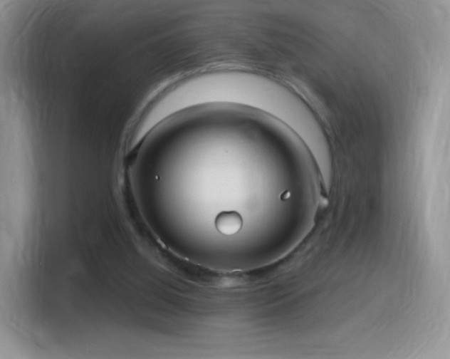 X0000116010060200911251129
