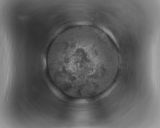 X0000116010061200911251129