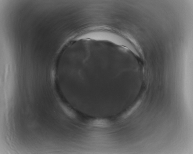 X0000116010063200911251129