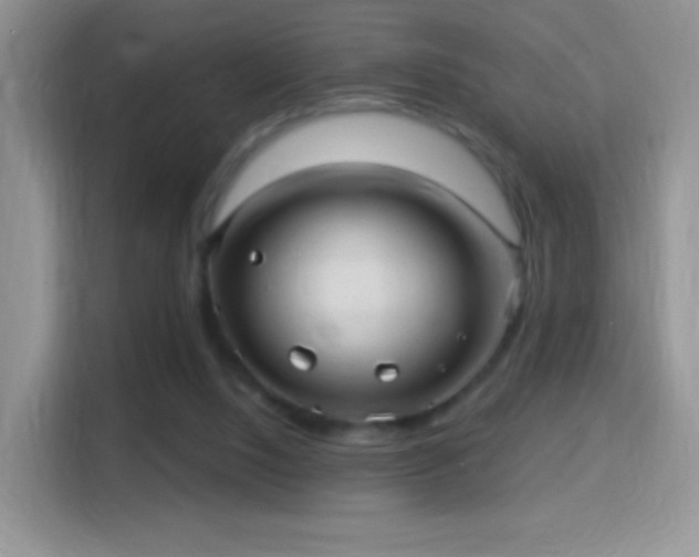 X0000116010064200911251129