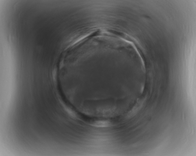 X0000116010066200911251129