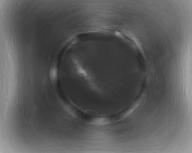 X0000116010067200911251129