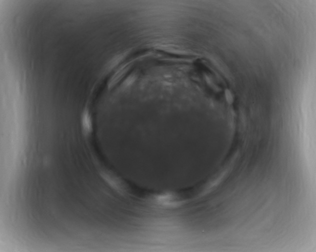 X0000116010068200911251129