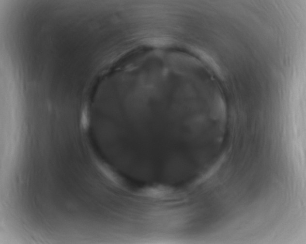 X0000116010069200911251129