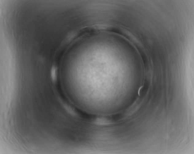 X0000116010070200911251129