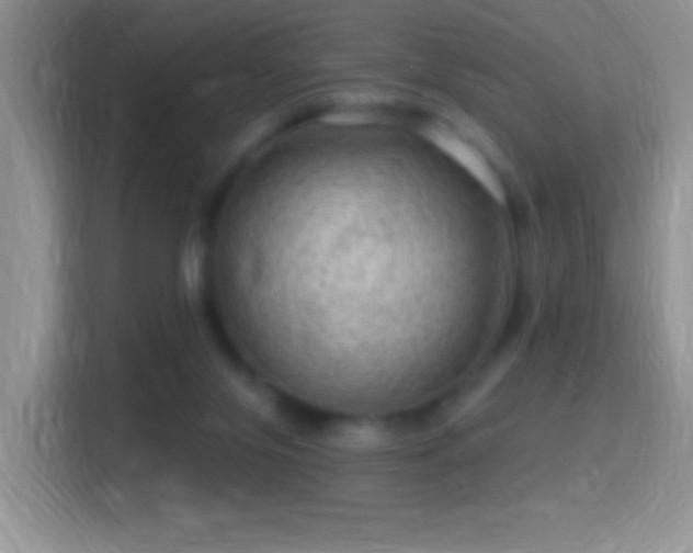 X0000116010071200911251129