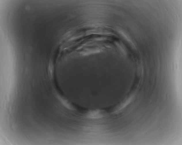 X0000116010072200911251129